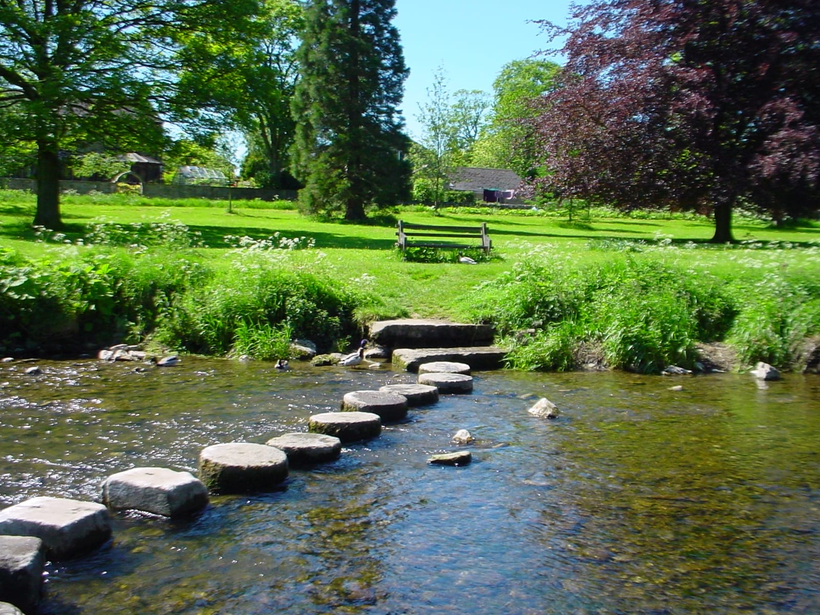 Garden with stepping stones across creek.