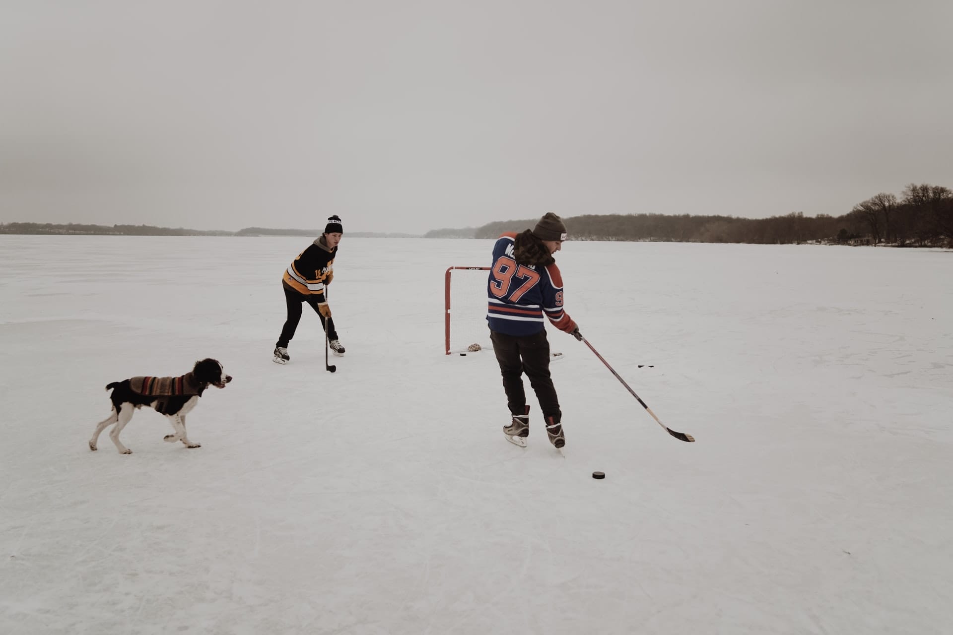 Two people playing hockey on a lake, with dog standing beside them.